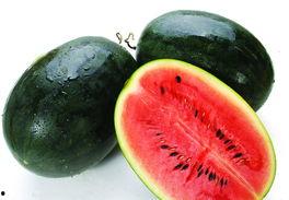 黑瓜吃料网有毒吗能吃吗,有毒还是可食用？