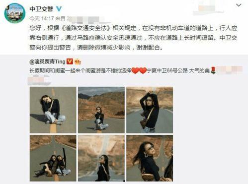 明星网红打卡视频大全,明星同款热门景点揭秘