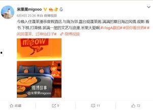 明星网红打卡视频大全,明星同款热门景点揭秘