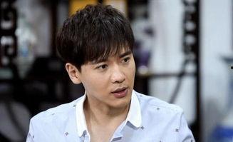 人设明星网红是谁,揭秘当红明星网红的传奇人生