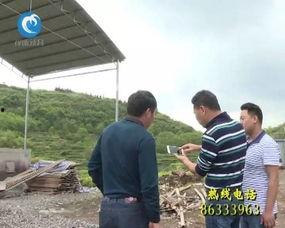 新昌吃瓜最新事件爆料新闻,揭秘背后惊人真相