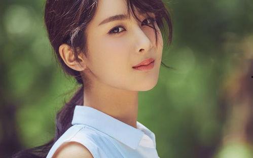 成都近期明星网红排名,最新热度排行揭晓