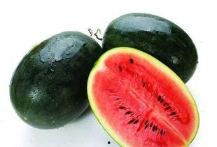 黑瓜吃料网在哪里可以买到