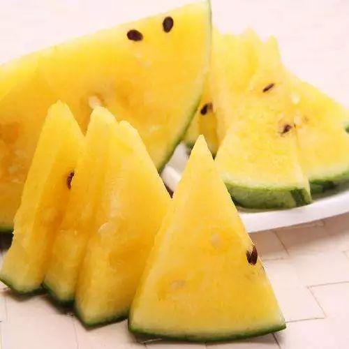 黑瓜吃料网在哪里可以买到