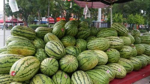 网红吃瓜爆料平台是什么,揭秘娱乐圈幕后真相