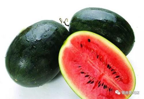 51吃瓜黑料海角社区在线系列,揭秘网络八卦背后的真实故事