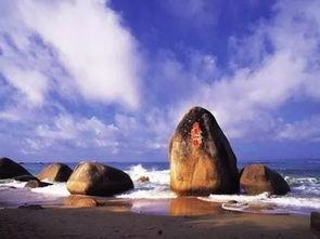 51吃瓜黑料海角社区在线系列,揭秘网络八卦背后的真实故事