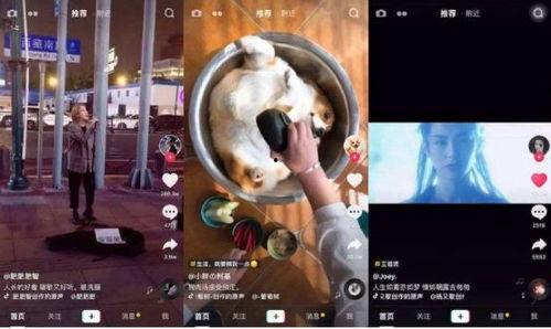 猎奇抖音吃瓜爆料在线观看,吃瓜爆料，在线观看，揭秘网络热点背后的真相