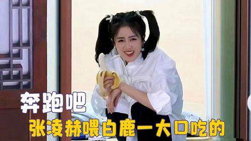 爱豆吃瓜娱乐酱白鹿